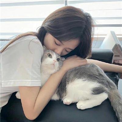 你永远不会独行 封面