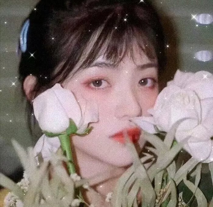 宿敌第二季 封面
